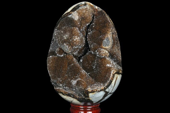 Septarian Dragon Egg Geode - Sparkly Black Crystals #81351